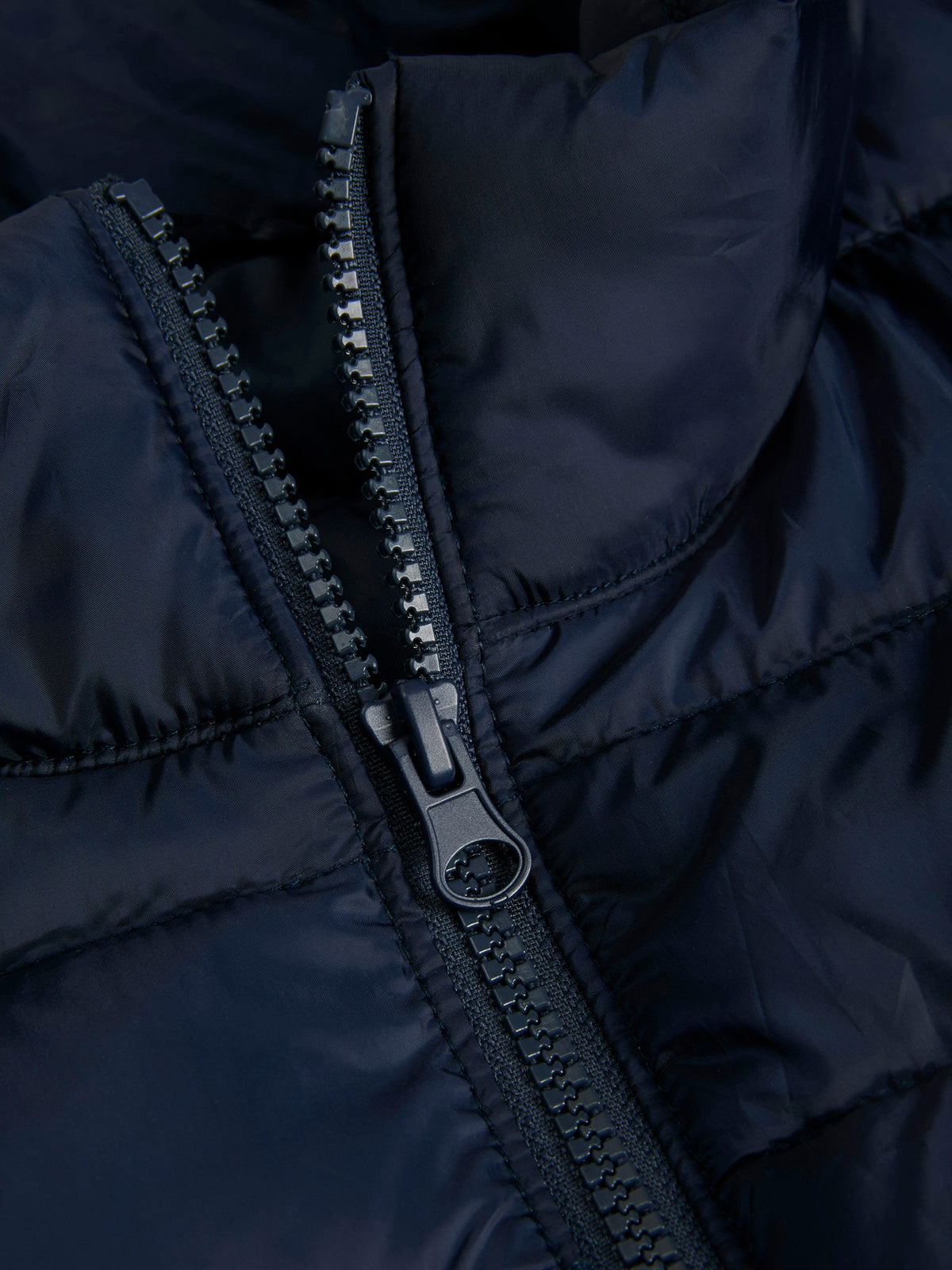 10257579-413_7.jpg
