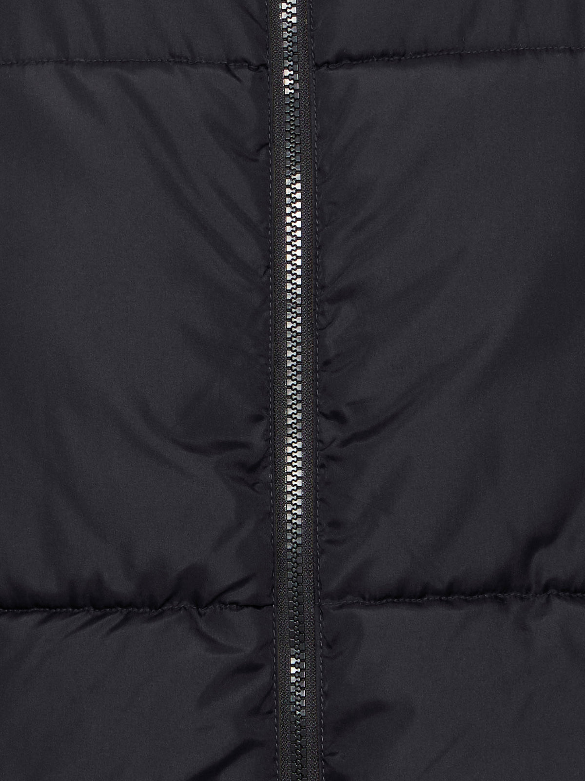 10256525-330_4.jpg