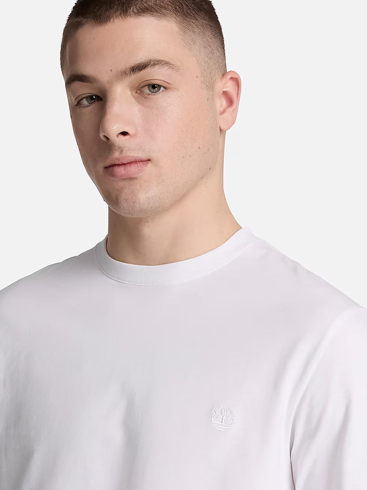 10263300-289_3.jpg